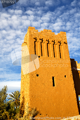 Image of africa  in histoycal maroc  old plant