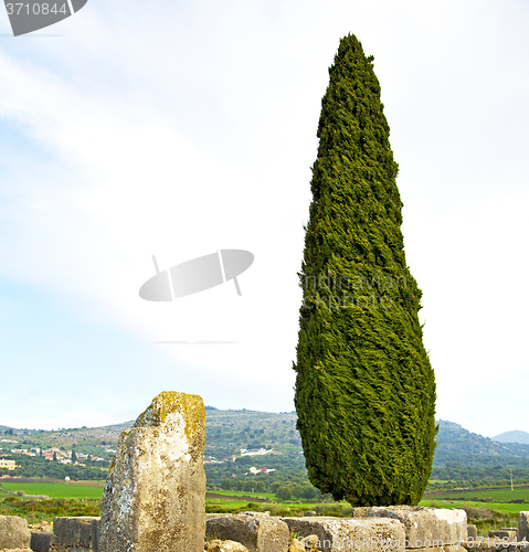 Image of volubilis in morocco   cypress monument and site