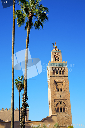Image of history in maroc africa  palm