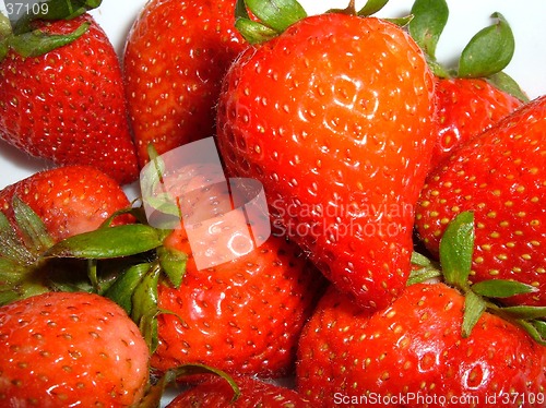 Image of Strawberries on white
