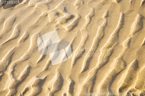 Image of dune in africa   coastline wet sand near  ocean