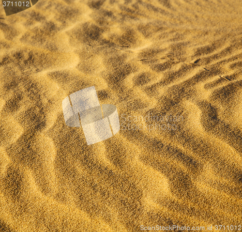 Image of africa the brown sand dune in   sahara morocco desert line