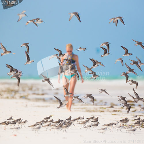 Image of Woman walking on the beach.