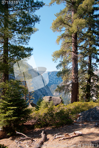 Image of Hiking in forest