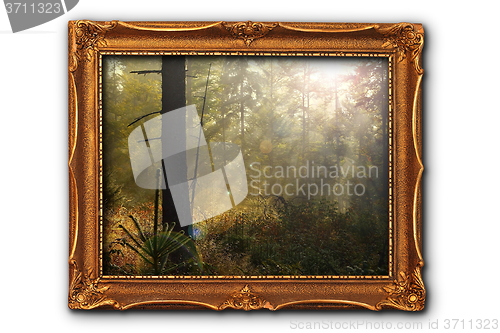 Image of image of foggy forest