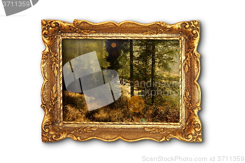Image of image of beautiful forest in wooden painting frame