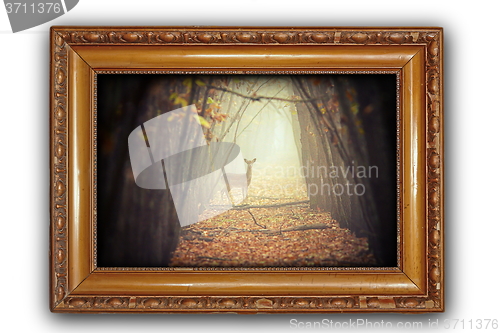 Image of beautiful image with deer in wooden frame