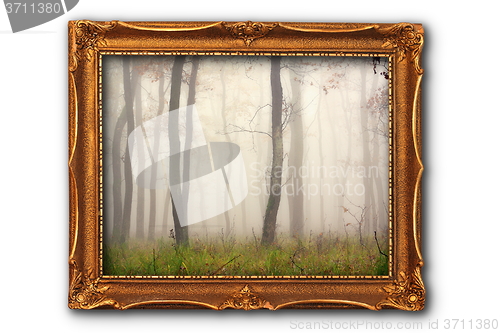 Image of image of misty forest in painting frame