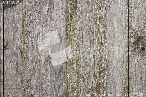 Image of beige fir boards texture