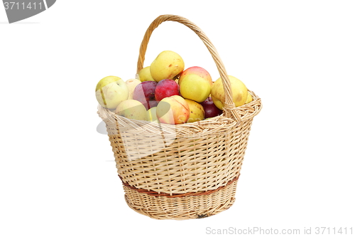 Image of wattle handmade basket with apples