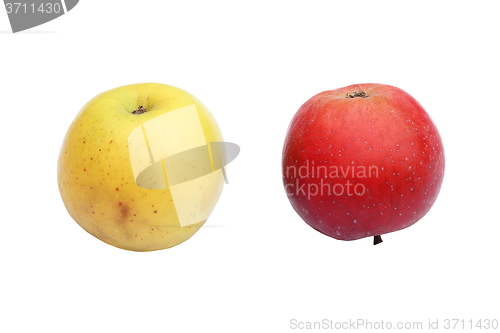 Image of two apples on white