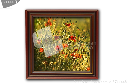 Image of image with poppies on wood frame