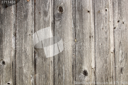 Image of grungy real spruce planks texture