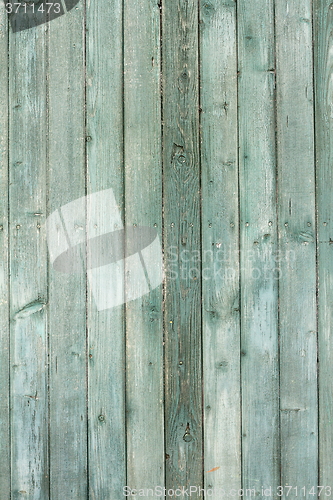 Image of green fir planks texture