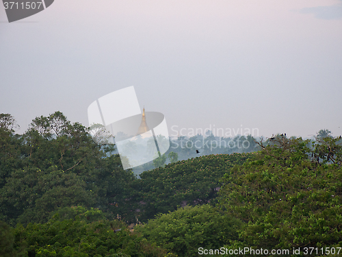Image of Pagoda at forest in Sittwe, Myanmar