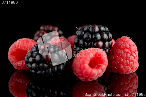 Image of Blackberry and raspberry