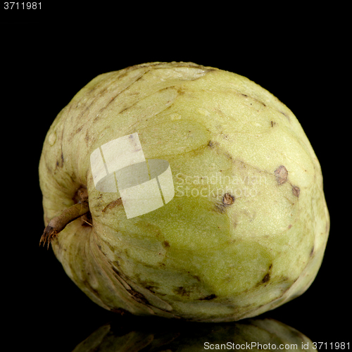 Image of Fresh Custard Apple