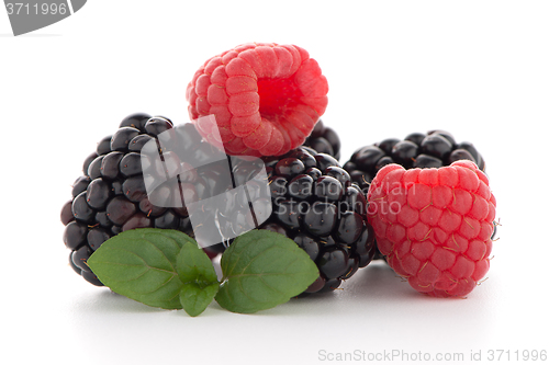 Image of Raspberry with blackberry 