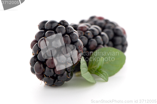 Image of Blackberries with leaves