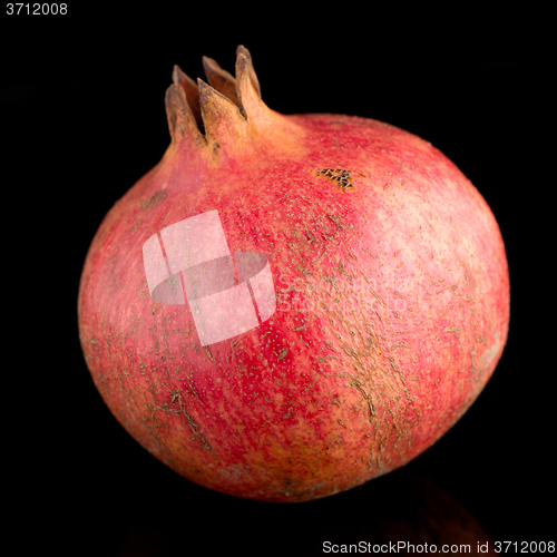 Image of Ripe pomegranate fruit