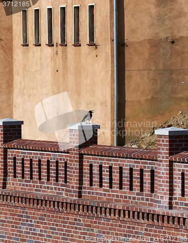 Image of Crow sitting on ancient walls of enbankment 