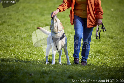 Image of Woman with dog on meadow