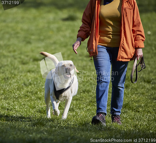 Image of Woman with dog on meadow