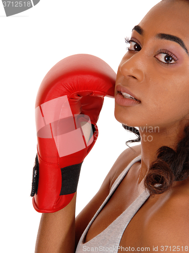 Image of Closeup of woman wearing boxing gloves.