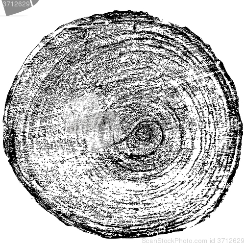 Image of Tree rings saw cut tree trunk background. illustration