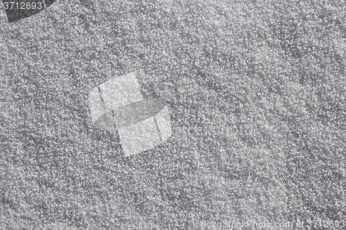 Image of The background of fresh white snow