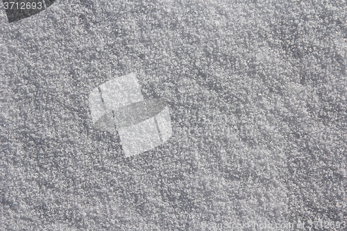 Image of The background of fresh white snow