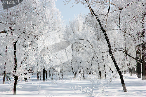 Image of Winter landscape