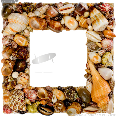 Image of Frame made from seashells

