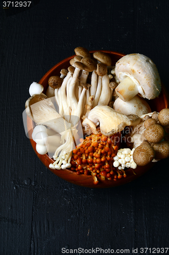 Image of Variety of Mushrooms