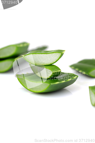 Image of Aloe vera leaves 
