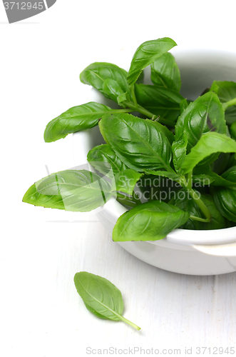 Image of Fresh basil leaves