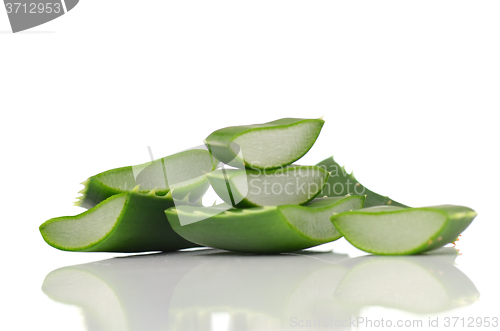 Image of Aloe vera leaves 