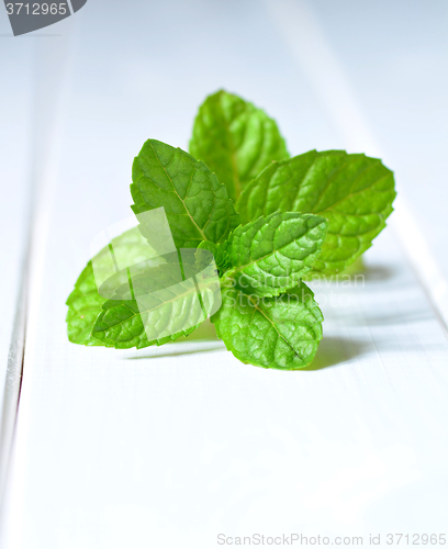 Image of Fresh peppermint leaves