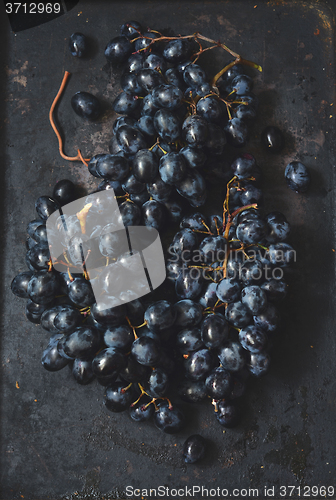 Image of ripe dark grapes