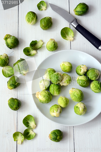 Image of Fresh brussel sprouts