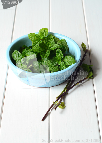 Image of Fresh peppermint leaves