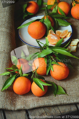 Image of fresh mandarins with leafs