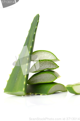 Image of Aloe vera leaves 