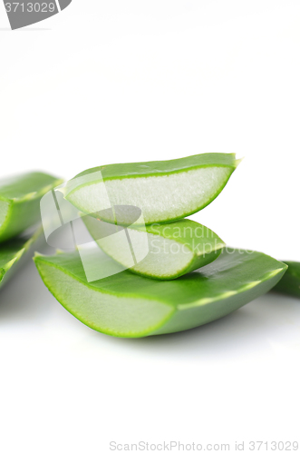 Image of Aloe vera leaves 