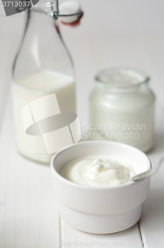 Image of Fresh dairy products