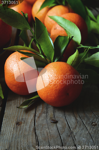 Image of fresh mandarins with leafs