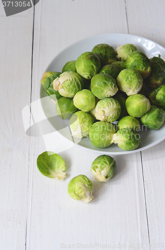 Image of Fresh brussel sprouts