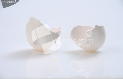 Image of Egg shell 