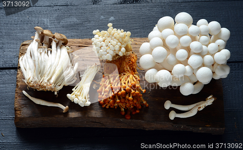 Image of Variety of Mushrooms