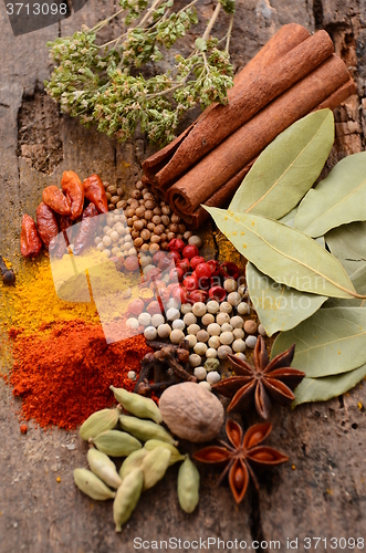 Image of Herbs and spices selection